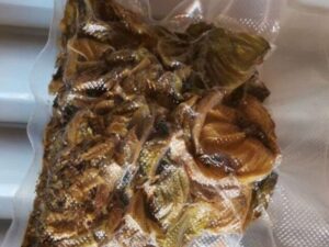 Пленки желудка