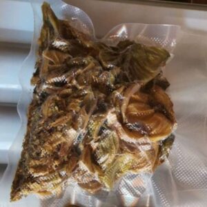 Пленки желудка